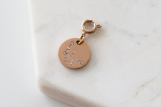 Maker Collection - Rose Gold Aquarius Zodiac Charm (Jan 20 - Feb 18)